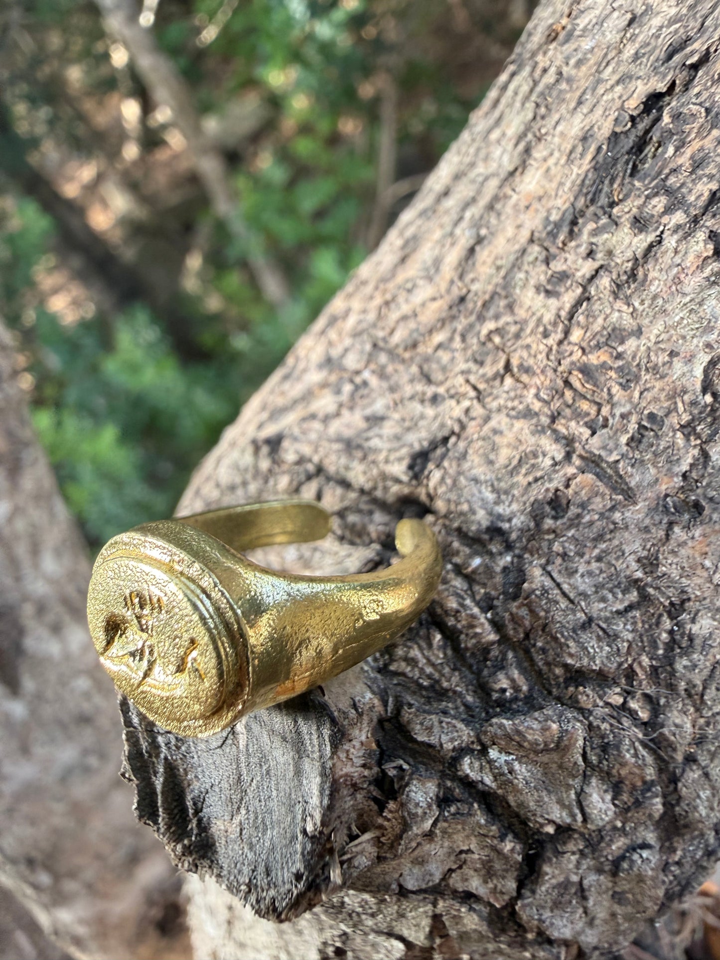 Anello da mignolo con Delfino