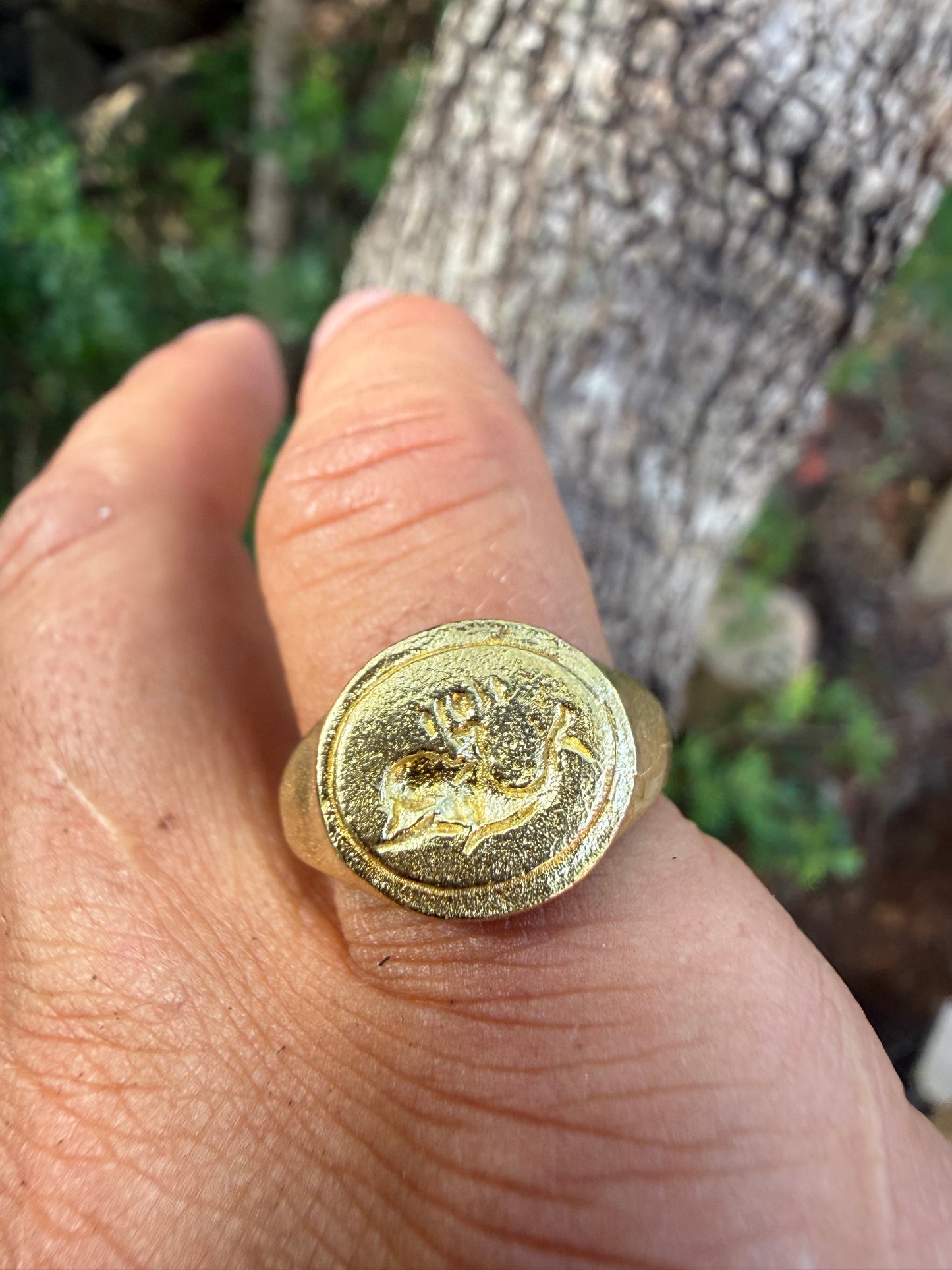 Anello da mignolo con Delfino