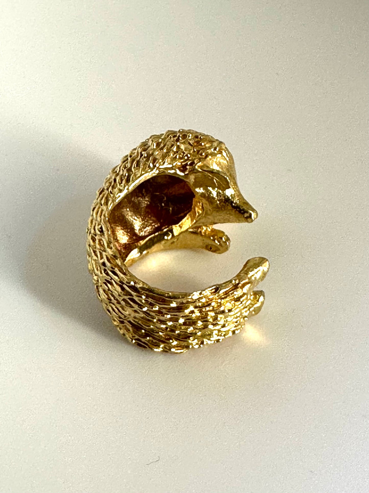 Anello Riccio